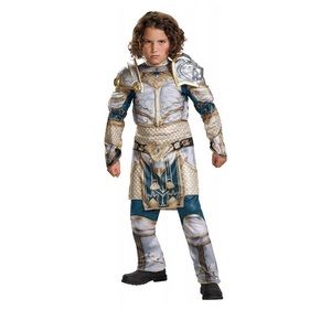King Llane Child Costume- size small 4-6